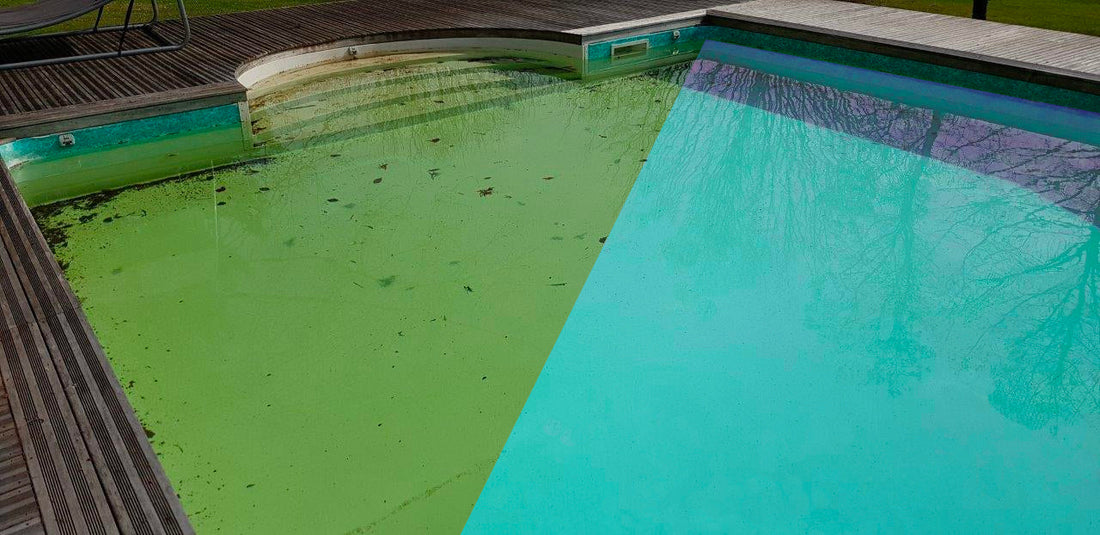 Comment rattraper une eau verte ou trouble ?